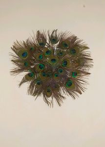 Wall Decorating Peace With Peacock Feather