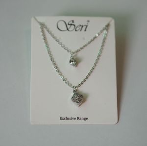 Double Layer Charm Necklace