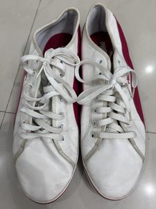 PUMA Shoes