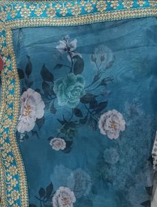 Beautiful Organza Saree