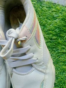 Stylish Women's Sneakers