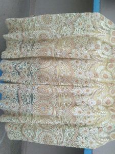 Exquisite Embroidered Lehenga Choli
