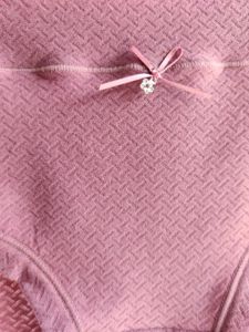 New Fancy Brief