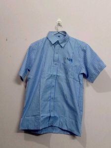 Half Shirt For Men's