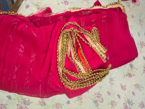 Royal Rani Pink Saree with Elegant Golden Beaded B
