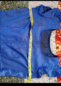 Royal Blue Ruffled Dress