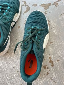 Puma Green Mesh Sneakers