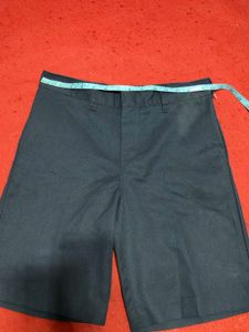 Dickies Short