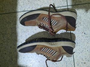 Men's Brown Casual Shoes