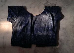Sparkly Blue Sari Blouse