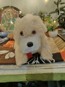 Plush White Dog Toy