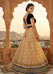 Elegant Black Velvet Blouse & Beige Net Lehenga