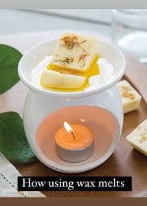 100gm Wax Melts