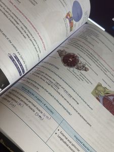 Rapid Revision Reignite Vol. 1