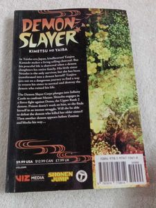 Demon Slayer 17