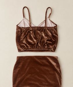 Velvet Crop Top and Skirt Set