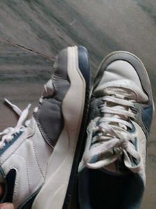 Classic White &amp; Grey Sneakers