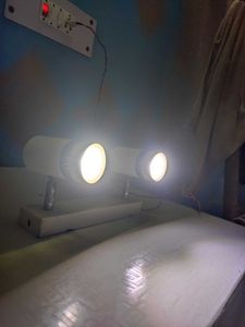 Adjustable Wall Spotlight
