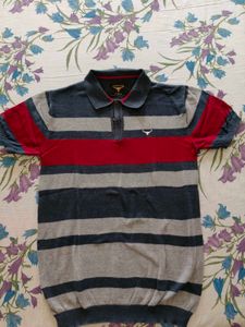 Men Striped Polo T-Shirt