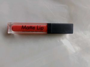 Matte Lip Liquid Lipstick