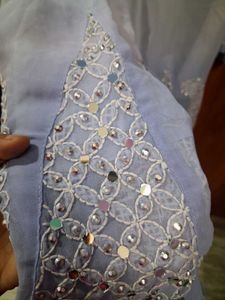 Elegant  Chikankari Kurta