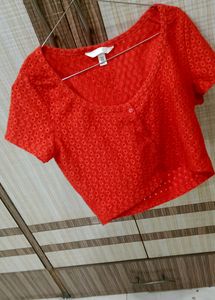 Stylish H.MCrop Top