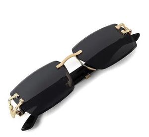 Stylish Black Sunglasses with Gold Accents