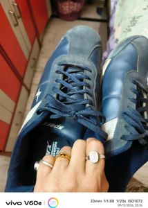 Sparx Blue Casual Shoes