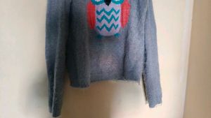 Sweatshirt Or Loose T Shirt