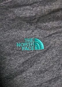 the north face hoodi
