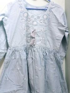 Elegant Embroidered Light Blue Dress