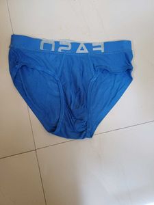 Force And FASO Briefs