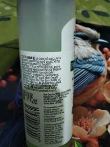 Biotique Cucumber Pore Tightening Toner