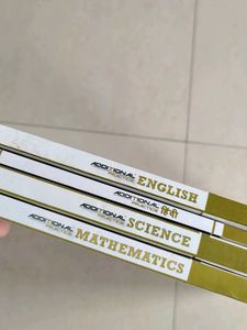 Ncert Based Class 10 Additional Practice