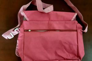2  kids purses