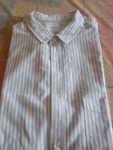 Striped Button-Down Shirt