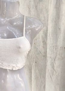 White Butterfly Lace Crop Top