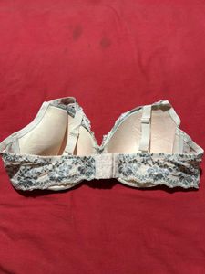 Women Plus Lace Bra 105D