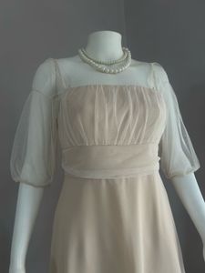 fixed price ✅Sheer Sleeve Dress