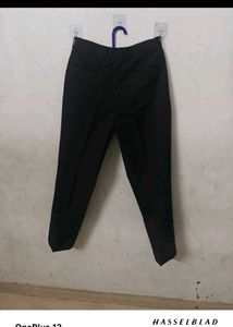 Classic Striped Arrow  Dress Pants
