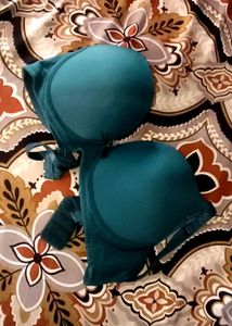 Plum Padded Underwire Bra