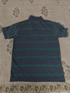 Striped Polo T-Shirt