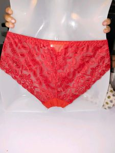 Premium Vibrant Red Floral Mesh Lace Bikini Panty