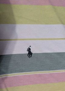 Polo Ralph Lauren Striped Pol