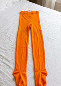 Vibrant Orange Tights