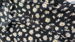 Zara Daisy Print Dress