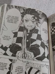 Demon Slayer 17