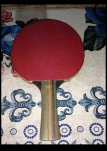 Table Tennis Racket 🏓 Stag