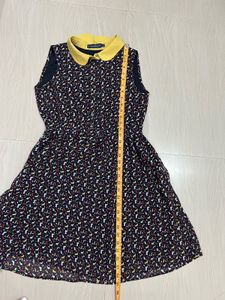 Noir Petal Peter Pan Collar Dres