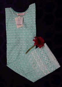 Elegant Mint Green Chikankari Kurta Set